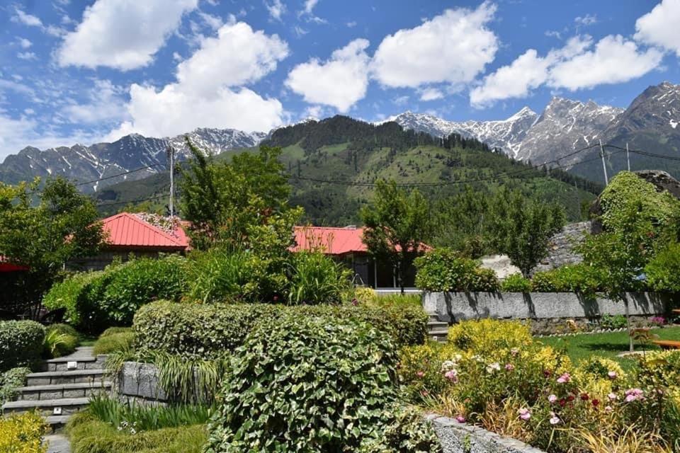 The Amrit Manali 2&3 Bhk Villas Eksteriør bilde